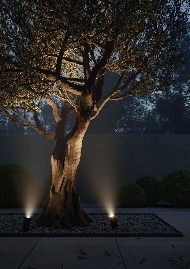 Exterior lighting around an outdoor space