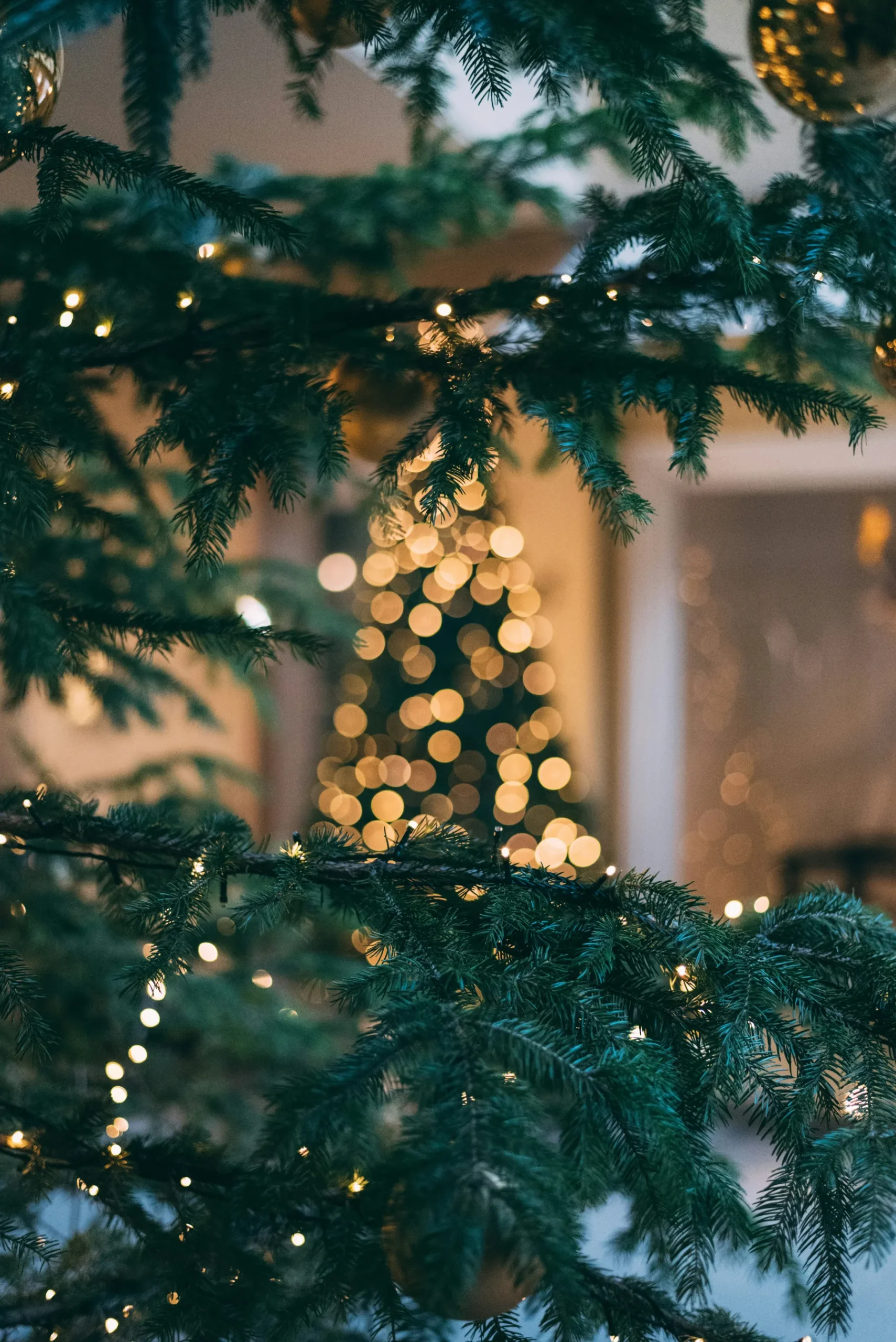 Seasonal Decor detail 2
